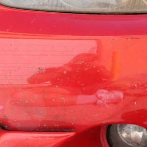 REVIEW: BLACKFIRE Bug Remover  by Mike Phillips