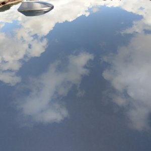 IMAG06941