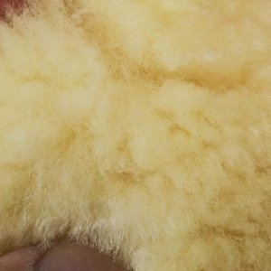 Best Wash Mitt Mike Phillips Autogeek