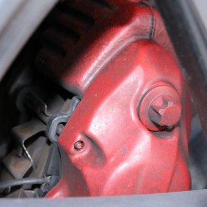 Speed Master Wheel Cleaning Brushes  Mike Phillips
