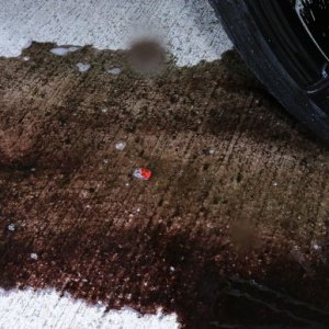Speed Master Wheel Cleaning Brushes  Mike Phillips