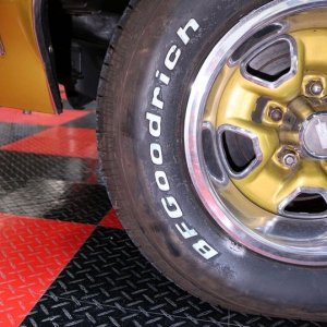 BLACKFIRE Multi-Surface Dressing Concentrate review by Mike Phillips