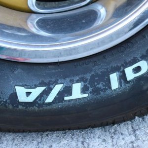 BLACKFIRE Multi-Surface Dressing Concentrate review by Mike Phillips