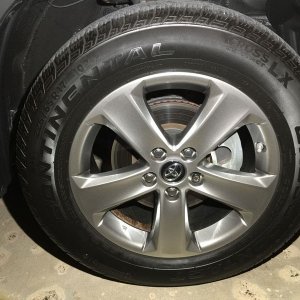 800_IMG_3906