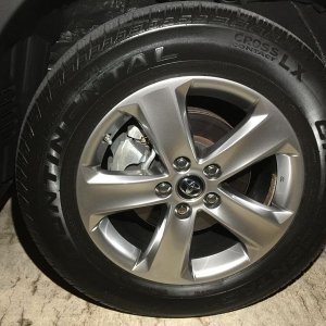 800_IMG_3907