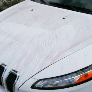 Detailing Classes with Mike Phillips at Autogeek