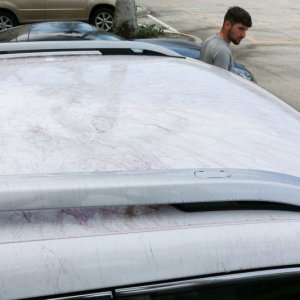 Detailing Classes with Mike Phillips at Autogeek