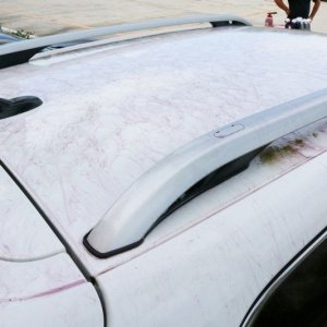 Detailing Classes with Mike Phillips at Autogeek