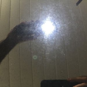 800_IMG_4002