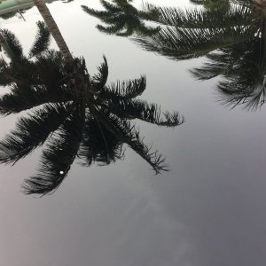 800_IMG_4012