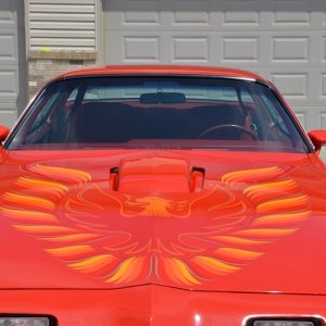 RFD_Hood