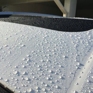 800_IMG_4050