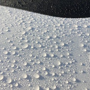 800_IMG_4051