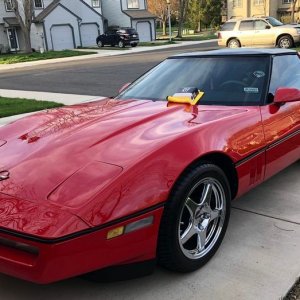 Car Detailing from home business Mike Phillips Autogeek