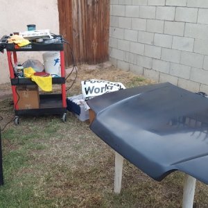 CART_PB_Hood