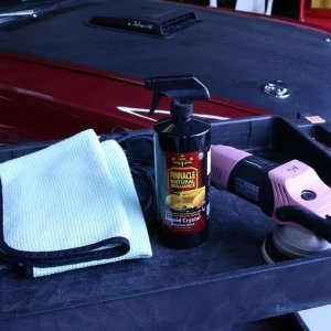 1969 Mustang Mach 1 detailed by Mike Phillips