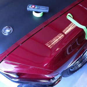 1969 Mustang Mach 1 detailed by Mike Phillips