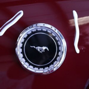 1969 Mustang Mach 1 detailed by Mike Phillips