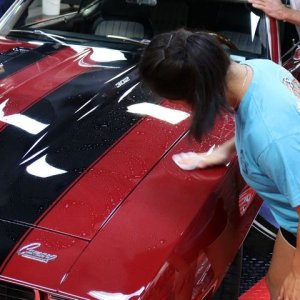 Jewel of a Camaro - Dont touch - Wet Paint