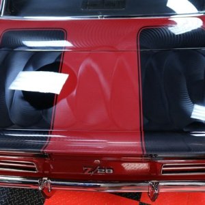 Jewel of a Camaro - Dont touch - Wet Paint