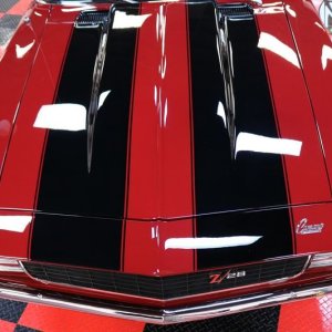 Jewel of a Camaro - Dont touch - Wet Paint