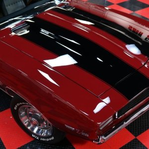 Jewel of a Camaro - Dont touch - Wet Paint