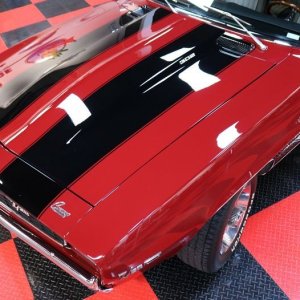 Jewel of a Camaro - Dont touch - Wet Paint