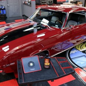 Jewel of a Camaro - Dont touch - Wet Paint