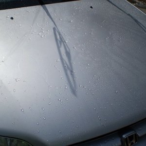 P2050060