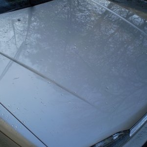 P2050069