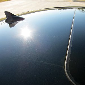 IMG_0947