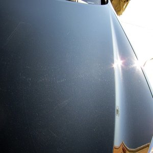 IMG_0958
