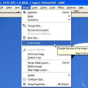 Using the GIMP v2.6