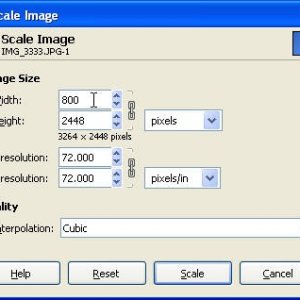 Using the GIMP v2.6