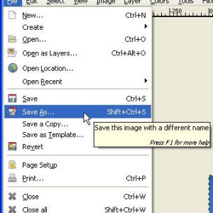 Using the GIMP v2.6