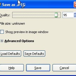 Using the GIMP v2.6