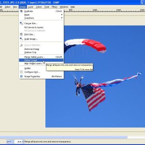 Using the GIMP v2.6