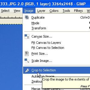 Using the GIMP v2.6