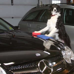 wax on, wax off