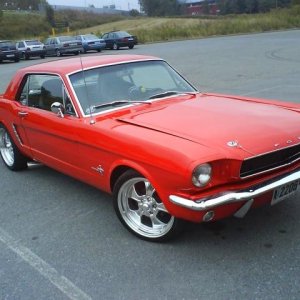 Red Mustang