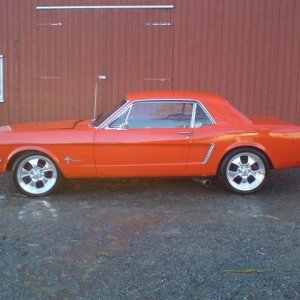 Red Mustang