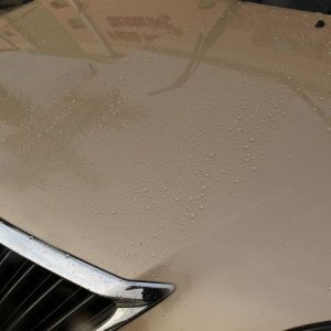 Review BLACKFIRE Wash and Wax by Mike Phillips