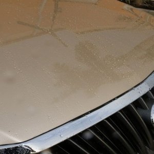 Review BLACKFIRE Wash and Wax by Mike Phillips