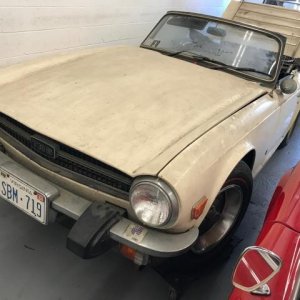 Restoring paint on a TR6 with Number 7
