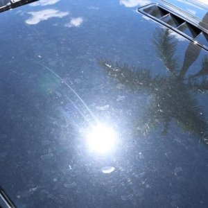 How to polish BLACK Paint on a Mustang Mike Phillips Autogeek