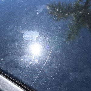 How to polish BLACK Paint on a Mustang Mike Phillips Autogeek
