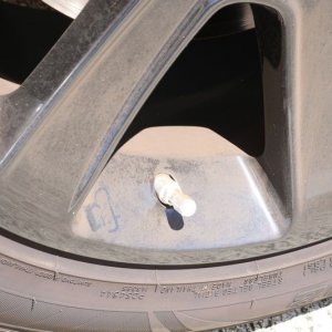 How to polish BLACK Paint on a Mustang Mike Phillips Autogeek