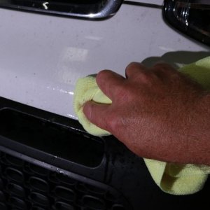 Review: Pinnacle Advanced Insect Remover