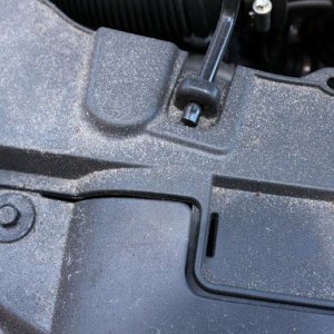Detail Engine Bay Degreaser Mike Phillips Autogeek