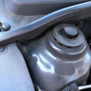 Detail Engine Bay Degreaser Mike Phillips Autogeek